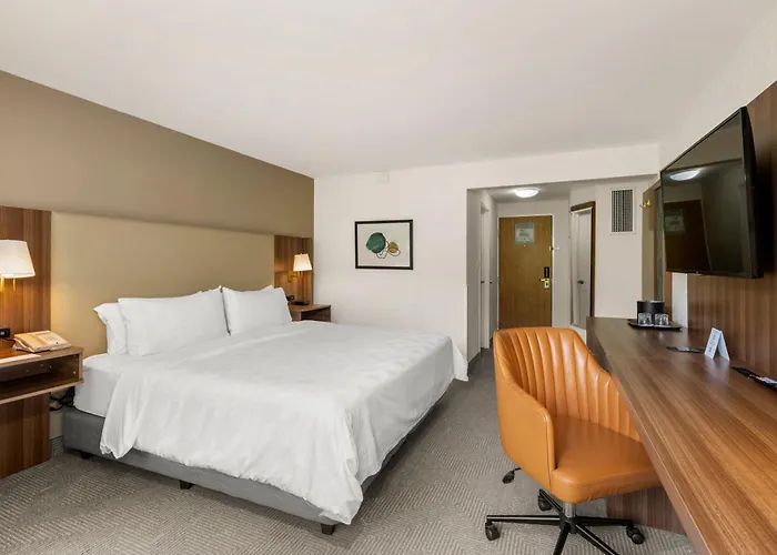 Jacuzzi hotel: Holiday Inn San Jose La Sabana By Ihg