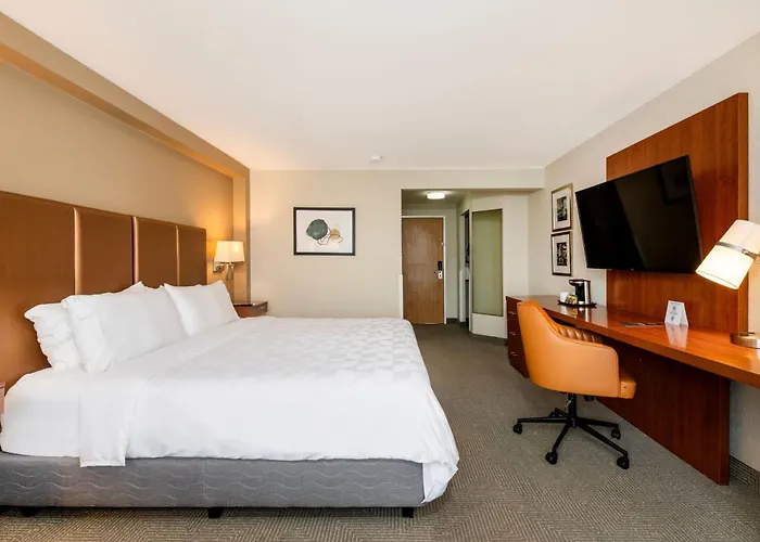 Jacuzzi hotel: Holiday Inn San Jose La Sabana By Ihg