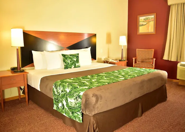 Boutique hotel only: Sleep Inn Paseo Las Damas